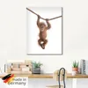 ARTland Glasbild Baby Orang Utan hängt an Seil II Größe: Produktbild-Vorschau 5