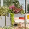 LECHUZA-Pflanzgefäß BALCONERA Stone 80 Steingrau | Produktbild-Vorschau 6