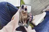 MuchoWow® Handyhülle Schutzhülle Hülle für Samsung Galaxy Produktbild-Vorschau 3