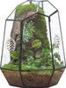 Terrarium géométrique en verre avec aération - Jardinière Voir les images du produit 1