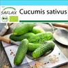SAFLAX Darčeková sada - BIO - uhorka - podhorské hrozno - Náhľad obrázku produktu 10