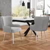 Two dining chairs are placed around a dining table in a modern dining room setting.