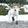 TRIXIE Pfotenschutz Walker Active - schwarz Produktbild-Vorschau 5