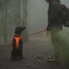 Ruffwear Front Range™ Hundegeschirr Produktbild-Vorschau 13
