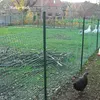 A dark green plastic fence in a backyard with a chicken in the foreground and geese in the background. Produktbild-Vorschau