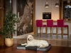 Pillowprim Hundematratze Hundebett "Premium" – waschbar, Produktbild-Vorschau 2