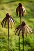 3er Set Gartenstecker Sonnenhut Metall Rost Gartendeko Produktbild-Vorschau 2