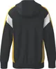 Erima Celebrate 125 Trainingsjacke mit Kapuze Schwarz/Gelb Produktbild-Vorschau 3