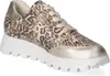 Waldläufer Damen Low Sneaker AJALA Beige Leder Textil Mix Produktbild-Vorschau 5
