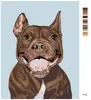 Zuty - Malen nach Zahlen - PITBULL, 40x50 cm, mit Produktbild-Vorschau 3