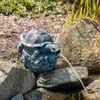 esotec Wasserspeier Schildkröte Marlis Einzelfigur mit Produktbild-Vorschau 4