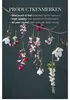 Kunstliche Pflanzen Hedera Garland - 180 x 15 cm - grun - Produktbild-Vorschau 7