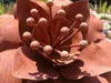 A close-up view of a rusty metal flower sculpture, with water and lily pads visible in the blurred background. Produktbild-Vorschau