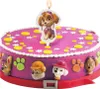 2er Set Paw Patrol Skye Tortenaufleger & Skye Kerze Produktbild-Vorschau 5