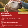Doppelherz für Tiere Haut und Fell Complex für Hunde Produktbild-Vorschau 5
