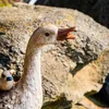 esotec Wasserspeier Gans mit Küken Einzelfigur mit Schlauch Produktbild-Vorschau 3