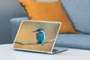 MuchoWow® Laptop Aufkleber Sticker Cover Vogel - Eisvogel - Produktbild-Vorschau 4
