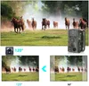 Fotopułapka IR Kamera Leśna Myśliwska POLSKIE MENU na kartę Podgląd zdjęcia produktu 10