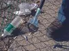 Unger NiftyNabber Pro Müllzange 97 cm Allzweckgreifer Náhled obrázku produktu 4