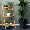 A wooden plant stand with three shelves, holding various potted plants, is placed next to a large potted plant in a black wire basket. The background is a muted green wall. Produktbild-Vorschau