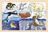 goki 57889 Animali polari, puzzle, colorato (1 pezzo) Anteprima dell’immagine prodotto 2