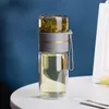 Doppelwandige Glas-Teeflasche mit Teesieb, tragbarer Produktbild-Vorschau 5