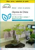 SAFLAX Ensemble de culture - Glycine de Chine - 4 graines - Voir les images du produit 1