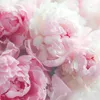 Muralo Selbstklebende Fototapete BLUMEN Pfingstrosen Natur Produktbild-Vorschau 6