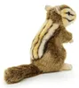 Ardilla de peluche, 17 cm Vista previa de la imagen del producto 3