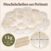 Perlmuttscheiben natur 1 kg ca. 200-300 Stück Capiz Produktbild-Vorschau 2