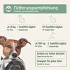 AniForte Lachsöl Hunde 1 Liter – Reich an Omega 3 & 6, Produktbild-Vorschau 5
