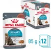 A product shot showing a single pouch and a box of Royal Canin Feline Urinary Care cat food. Produktbild-Vorschau