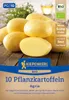 Kiepenkerl  Pflanzkartoffel Agria Solanum tuberosum 10 Produktbild-Vorschau 1