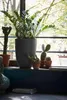 Various potted plants are displayed on a windowsill in front of a window with trees visible outside. Produktbild-Vorschau