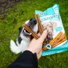 Akinu DENTASTAR Tyčky pamlsek pro psy dentální žvýkací 7 ks Náhled obrázku produktu 2