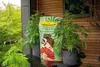 A bag of Floragard grow mix is displayed next to potted plants on a shelf. Produktbild-Vorschau