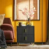 SoBuy set di 2 comodini con 2 cassetti tavolino da divano Anteprima dell’immagine prodotto 3
