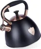 A black kettle with copper accents on a white background. Náhled obrázku produktu