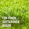 COMPO SAAT Vertikutier-Mix 7,5 kg - 2083202004 Produktbild-Vorschau 10