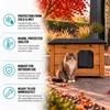 Kattenhuis XL, kattenhol, buitenhuis voor katten, geschikt Productafbeelding-voorbeeld 3