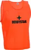 Derbystar Markierungshemdchen Standard, Junior (bis 152 - Produktbild-Vorschau 1