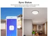 Smart switch WiFi + RF 433 Sonoff RF R2 (NEW) Náhľad obrázku produktu 31