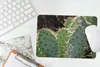 MuchoWow® Mauspad Mousepad Botanischer Kaktus Fotodruck Produktbild-Vorschau 5