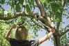 Obvodové nůžky Fiskars PowerGearX, 64 cm Náhled obrázku produktu 37