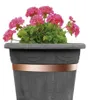 Bellissa Schneckenband 500 x 3 cm Produktbild-Vorschau 5