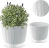 Prosperplast Blumentopf RYFO Weiß 14,6 cm Produktbild-Vorschau 8