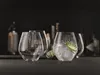 Spiegelau 4810180, Sklenička na gin s tonikem, 625 ml, Náhled obrázku produktu 19