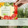 Kit de graines de tomates(10 variétés) - Kit de culture de Voir les images du produit 5