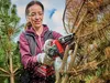Einhell ge-PS 18/15 Li BL Kit Akku-Kettensäge Produktbild-Vorschau 7