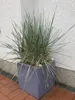 Elegant Einrichten | Pflanzkübel | Fiberglas | quadratisch Produktbild-Vorschau 2